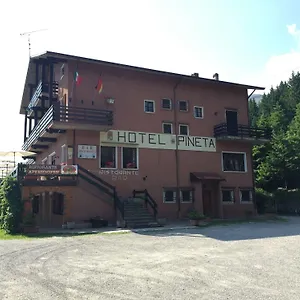 https://albergo-ristorante-pineta-collio.it-lombardy.com